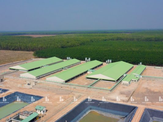 Giải Pháp Chuồng Trại Chăn Nuôi 